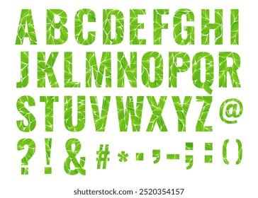 Green leaves classic latin alphabet. Vector abc uppercase letters, and punctuation signs. English or latin font, typeface for logos, badges, postcards, posters, ecological projects.