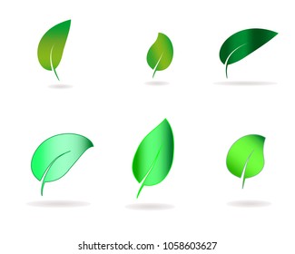 Green leaves clip art