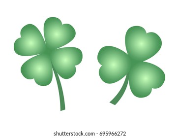 Green leaves of clover