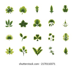 green leaves collection element set flat style