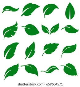 Green Leaves Collection. Set of leaf .Vector Illustration