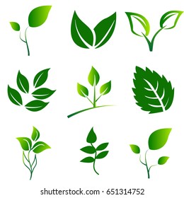 Green Leaves Collection.Leaves icon vector set isolated on whitebackground. Elements for eco and bio logos.Vector Illustration. Set of leaf.