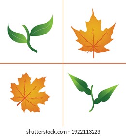 The green leaves are colorful with vector designs