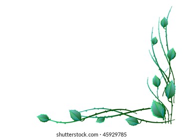 Green leaves in the corner of vector illustration