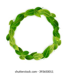 Green leaves decorative frame, vector illustration