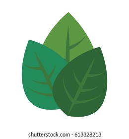green leaves design