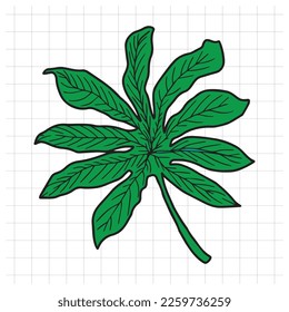 Green leaves design element. Hand drawn tropical leaves isolated on white background