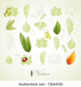 Green leaves design, eps-10