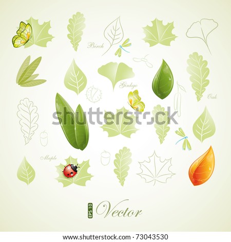 Green leaves design, eps-10