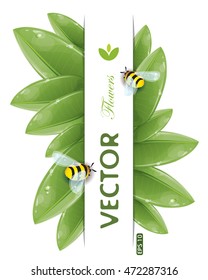 Green leaves design with flying bees isolated on white, vector illustration, eps-10