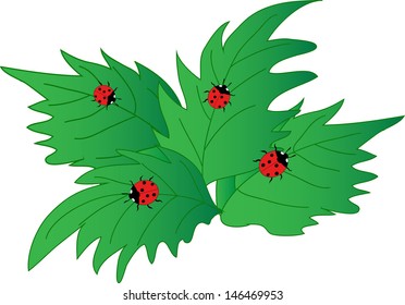 Green leaves design with ladybug