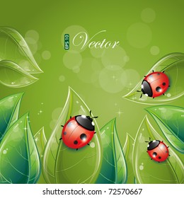 Green leaves design with ladybug, eps-10