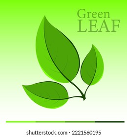 Diseño de hojas verdes en vector