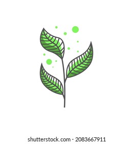 Logotipo del vector de diseño de hojas verdes