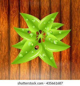 Green leaves with dew drops and ladybugs. Spring vector illustration.