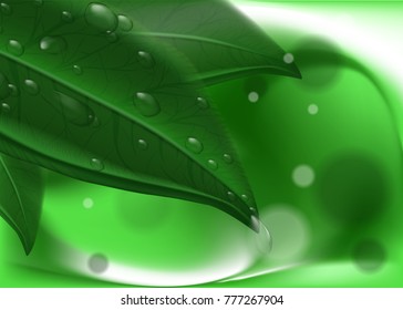 Green leaves and dew on abstract background. Hi res wallpaper