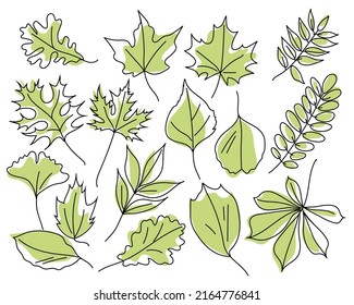 Green leaves of different trees isolated on white background. Leaves in linear art with the addition of colored spots. Leaves of maple, oak, chestnut, acacia, ash, ginkgo. Vector illustration.