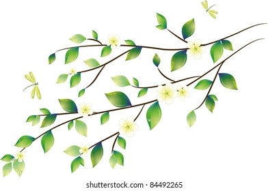 Green leaves with dragonfly, vector illustration, eps-10