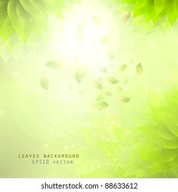 green leaves, eco background eps10