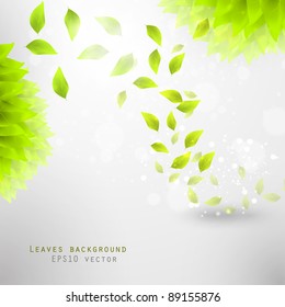green leaves, eco background eps10