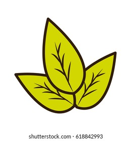 green leaves eco health food
