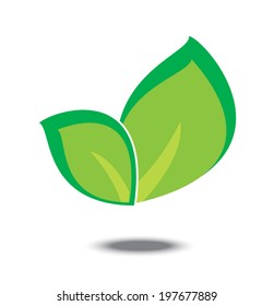 Green leaves, eco icon. Vector illustration