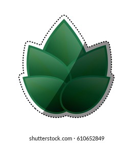 Green leaves ecology icon vector illustration graphic design
