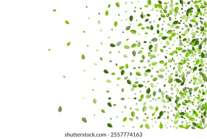Green Leaves Ecology Vector Pattern. Swirl Foliage Background. Mint Greens Flying Banner. Leaf Organic Design.