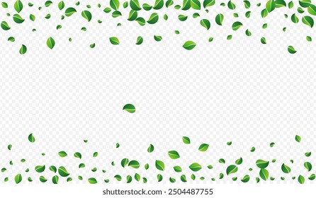 Green Leaves Ecology Vector Transparent Background. Fresh Leaf Border. Grassy Foliage Organic Template. Greens Forest Poster.