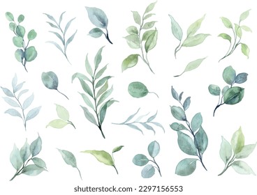 Green leaves element collection with watercolor for wedding design, frame, greeting card, sticker, background etc.