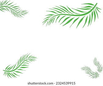 green leaves with empty background