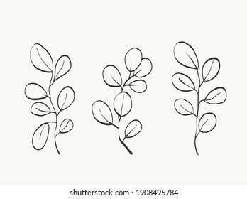 Green leaves eucalyptus line art. modern or minimal plants line. perfect for home decor such as posters. vector illustrations design.