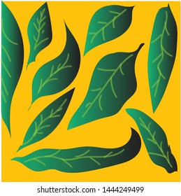 Green leaves fall in various sizes