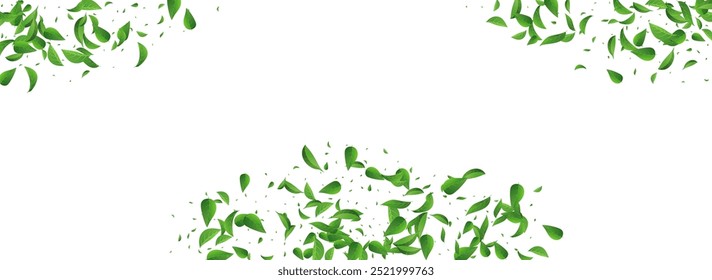 Green Leaves Falling Vector Panoramic White Background Backdrop. Tree Leaf Template. Grassy Greens Ecology Design. Foliage Transparent Border.