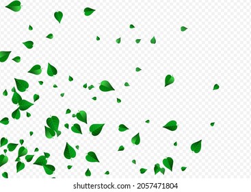 Green Leaves Falling Vector Transparent Background Brochure. Blur Leaf Poster. Forest Greens Swirl Pattern. Foliage Tea Design.