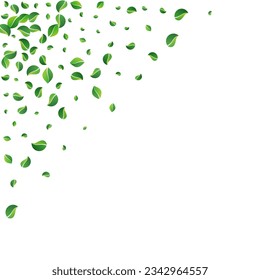 Green Leaves Falling Vector White Background. Ecology Leaf Plant. Grassy Greens Wind Template. Foliage Realistic Backdrop.