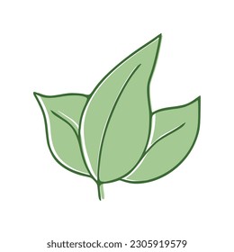 Icono de las hojas verdes aisladas en fondo blanco. Ilustración del vector