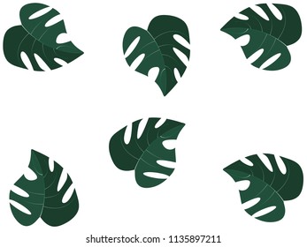 green leaves flat nature .vector