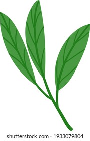 Green leaves in flat style
