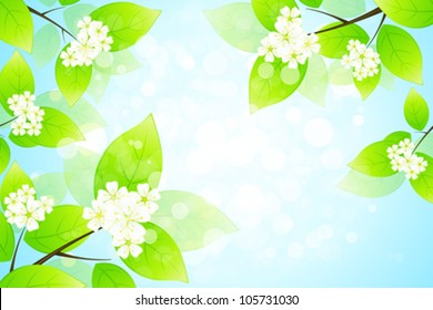 Green Leaves and flowers