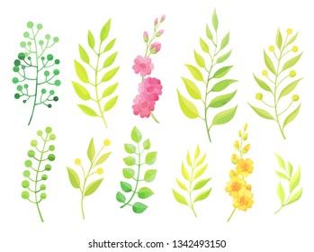 Green leaves and flowers set isolated on white background. 