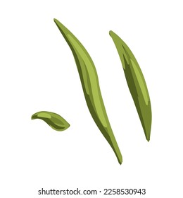 Green leaves of flowers. Set for postcard, poster, ad, decor, fabric and other uses. Vector isolated illustration.