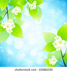 Green Leaves with Flowers in the Sky