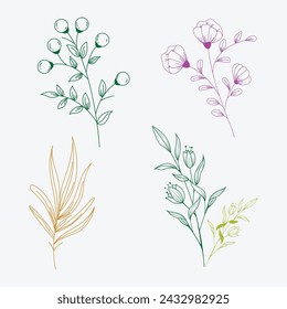 Green leaves and flowers with a white background