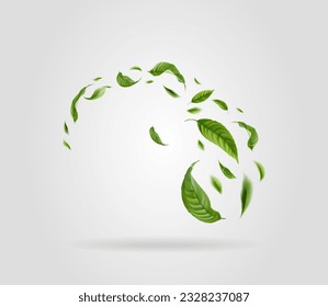 Green leaves fly with a gust of wind. Vector illustration. Realistic tea leaves.