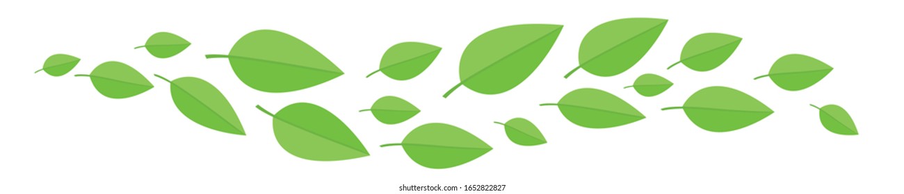 green leaves fly from left to right. A wave of flying leaves isolated on white background.