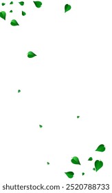 Green Leaves Fly Vector White Background Backdrop. Tea Greens Brochure. Forest Foliage Abstract Banner. Leaf Tree Branch.