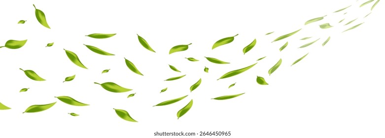 Green leaves flying on a long white banner. Falling leaves. Wavy foliage ornament. Vegan, eco, organic design element. Cosmetic pattern border. Fresh tea background. Beauty products. Vector