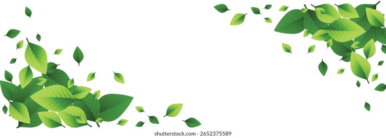 Green leaves flying on a long white banner. Falling leaves. Wavy foliage ornament. Vegan, eco, organic design element. Cosmetic pattern border. Fresh tea background. Beauty products. Vector