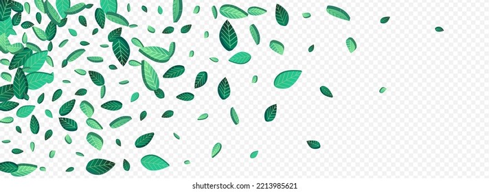 Green Leaves Flying Vector Panoramic Transparent Background Brochure. Transparent Leaf Banner. Swamp Foliage Herbal Concept. Greens Tree Background.